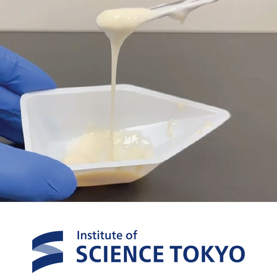 Institute of Science Tokyo/Ropy lactic acid bacterium: (KY5-ES5)